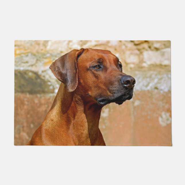 Rhodesian ridgeback doormat (Front)