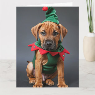 Rhodesian Ridgeback Elf Puppy Christmas Card 