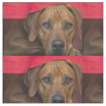 rhodesian-ridgeback fabric