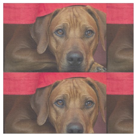 I Love my Rhodesian Ridgeback Fabric | Zazzle