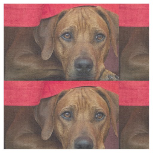 rhodesian-ridgeback fabric
