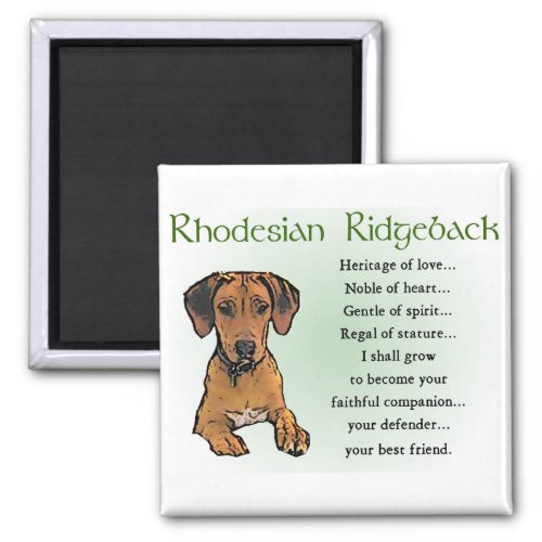 Rhodesian Ridgeback Gifts Magnet