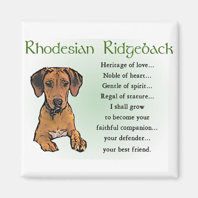 Rhodesian Ridgeback Gifts Magnet (Front)