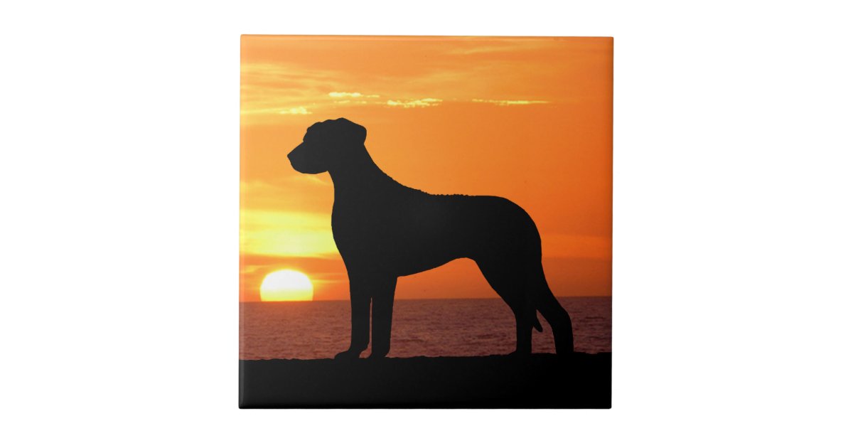 Rhodesian Ridgeback Sunset Rhodesian Ridgeback Golden Sunset Silhouette Ceramic Tile | Zazzle