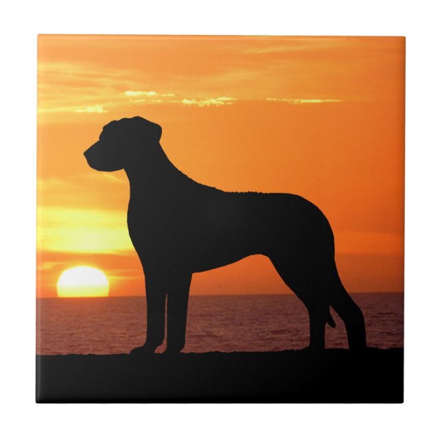 Rhodesian Ridgeback Golden Sunset Silhouette Ceramic Tile (Front)