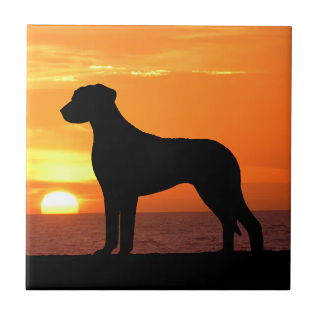 Rhodesian Ridgeback Sunset Rhodesian Ridgeback Golden Sunset Silhouette Ceramic Tile | Zazzle