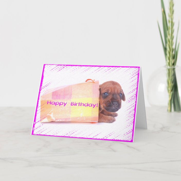 Rhodesian Ridgeback HAPPY BIRTHDAY Greeting Card | Zazzle.com