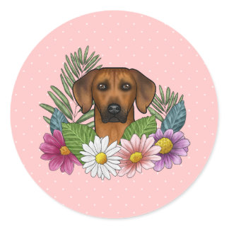 Rhodesian Ridgeback Head Colorful Flowers On Pink Classic Round Sticker