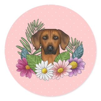 Rhodesian Ridgeback Head Colorful Flowers On Pink Classic Round Sticker