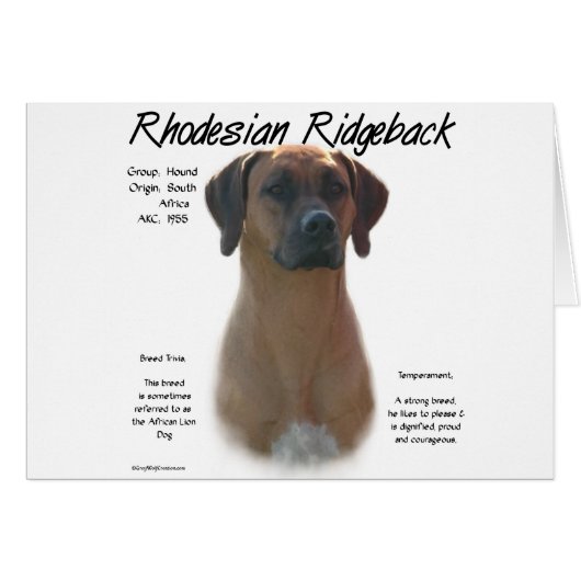 Rhodesian Ridgeback History Design Cards (Front Horizontal)