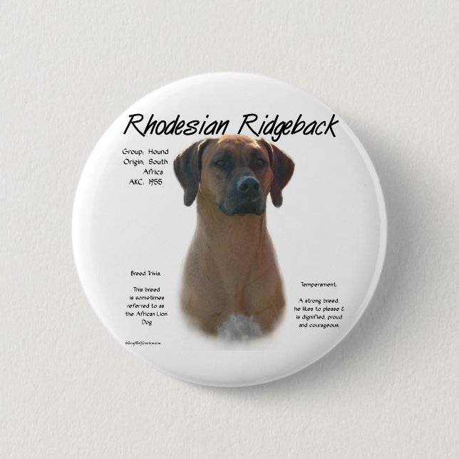 Rhodesian Ridgeback History Design Pinback Button (Front)