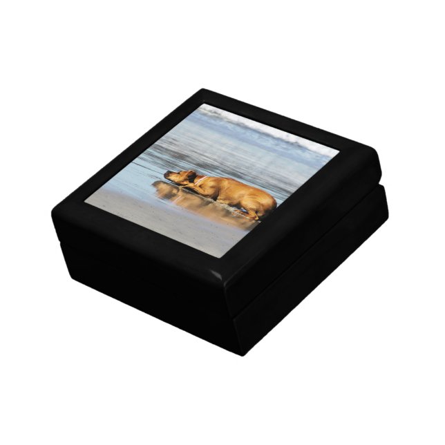 Rhodesian Ridgeback - Is the Water Cold? Keepsake Box (Side)