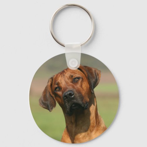 Rhodesian Ridgeback Keychain