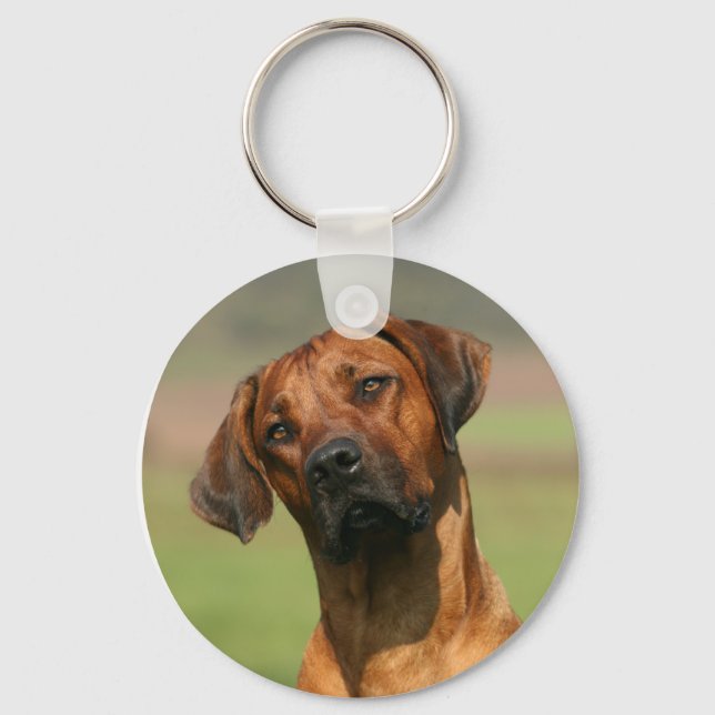 Rhodesian Ridgeback Keychain (Front)