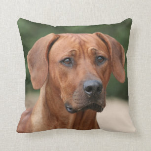 Rhodesian Ridgeback kiss Throw Pillow