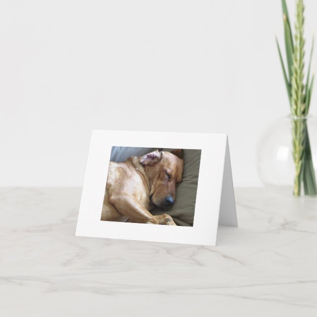 Rhodesian Ridgeback Labrador Dog Mix Card (Front)