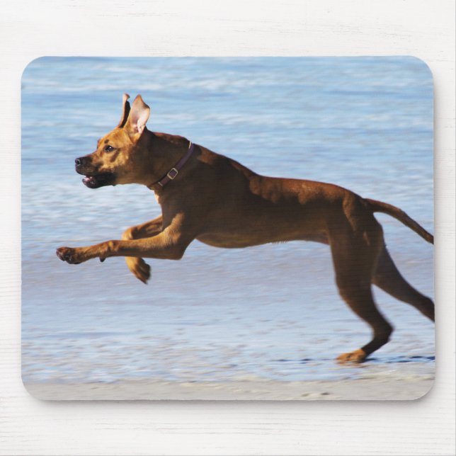 Rhodesian Ridgeback - Leap Mouse Pad (Front)
