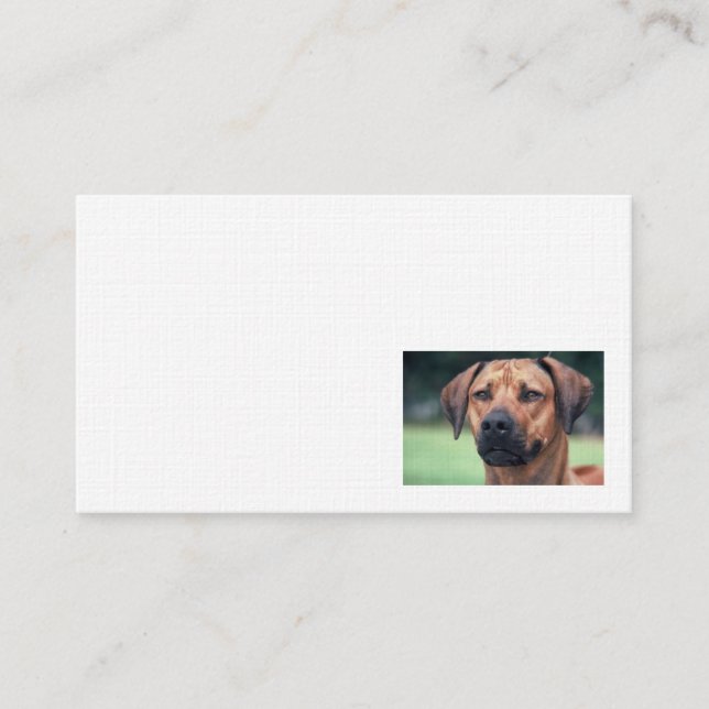 Rhodesian Ridgeback Linen business card (Front)