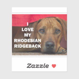 rhodesian-ridgeback love w pic sticker