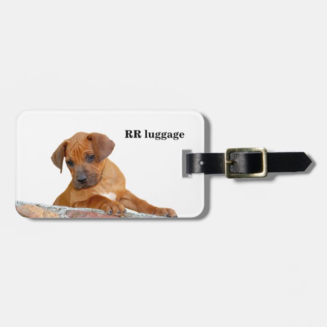 Rhodesian Ridgeback Luggage Tag (Front Horizontal)