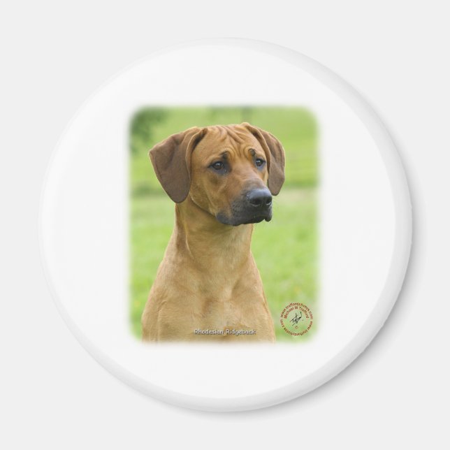 Rhodesian Ridgeback Magnet (Front)