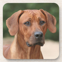 Rhodesian Ridgeback mats