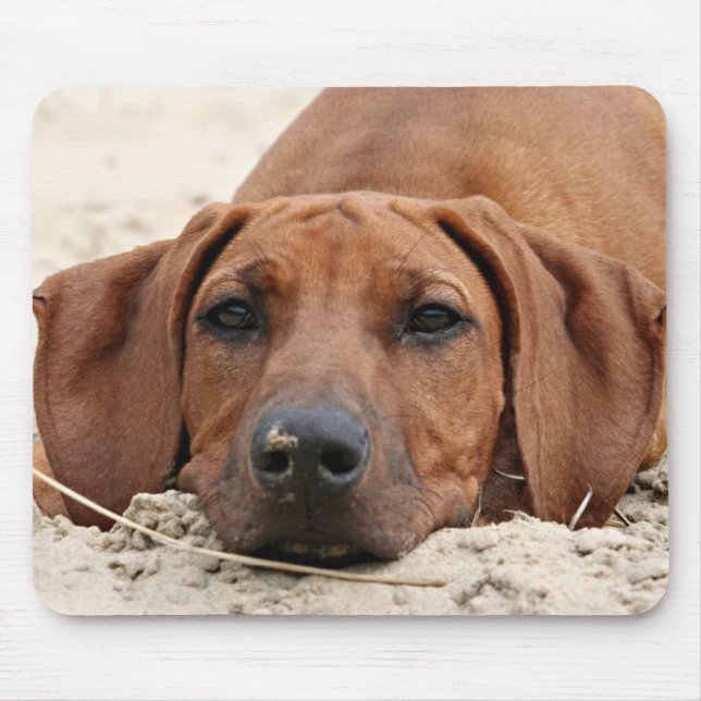 Rhodesian Ridgeback mousepad (Front)