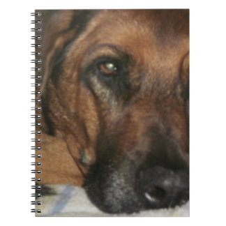 Rhodesian Ridgeback Notebook