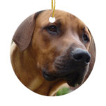 Rhodesian Ridgeback Ornament