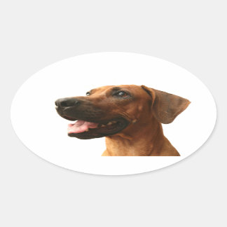 Rhodesian Ridgeback Oval Sticker