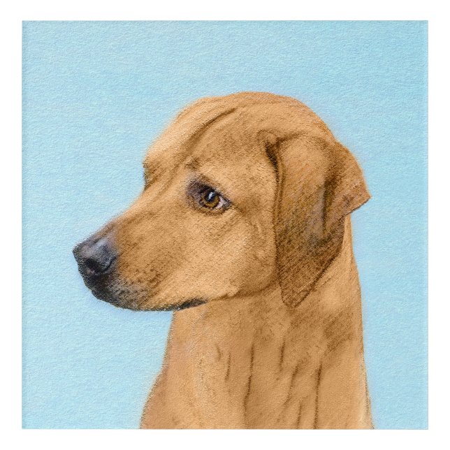 Rhodesian Ridgeback Painting - Original Dog Art (Front)