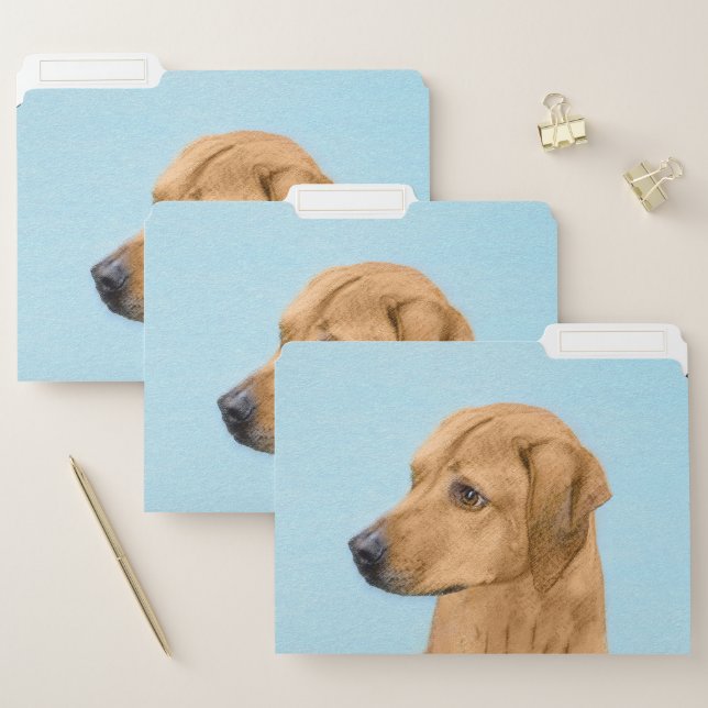 Rhodesian Ridgeback Painting - Original Dog Art File Folder (Set)