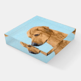 Rhodesian Ridgeback Painting - Original Dog Art Paperweight