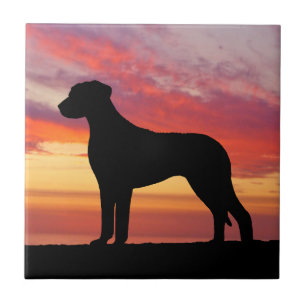 Rhodesian Ridgeback Persimmon Sunset Silhouette Ceramic Tile