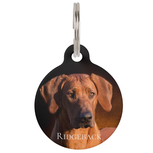 Rhodesian Ridgeback Pet ID Tag (Front)