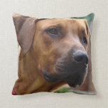 Rhodesian Ridgeback Pillow
