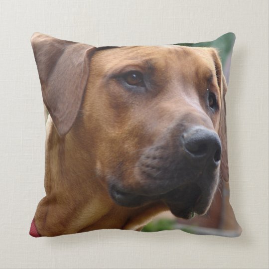 rhodesian ridgeback pillow
