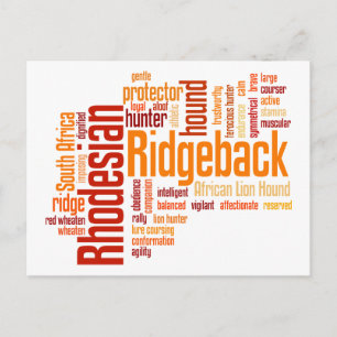 Rhodesian Ridgeback Postcard