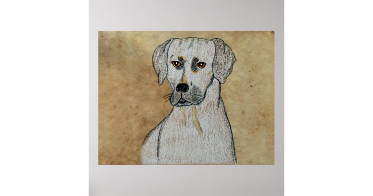 Rhodesian Ridgeback Poster | Zazzle