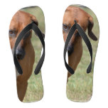 Rhodesian Ridgeback Prancing Flip Flops