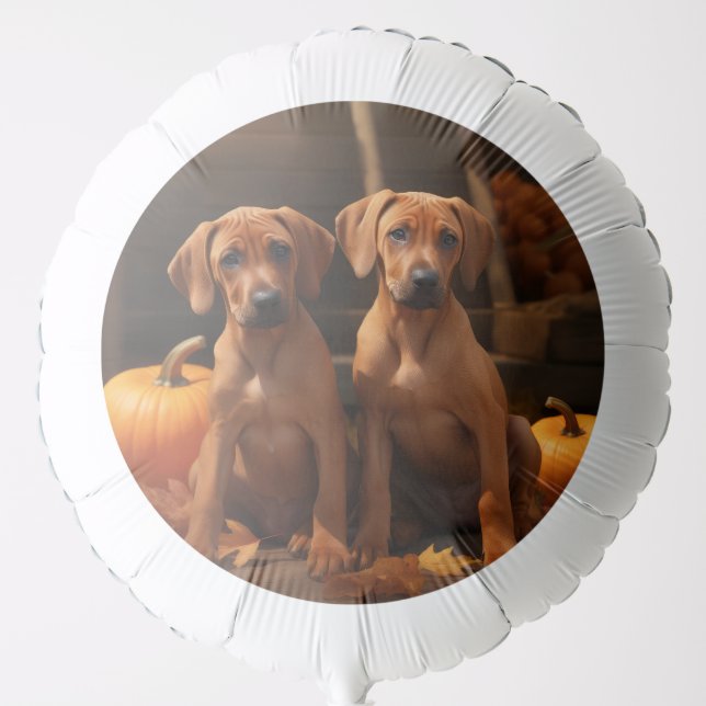 Rhodesian Ridgeback Puppy Autumn Delight Pumpkin  Balloon (Front)