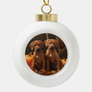 Rhodesian Ridgeback Puppy Autumn Delight Pumpkin Ceramic Ball Christmas Ornament