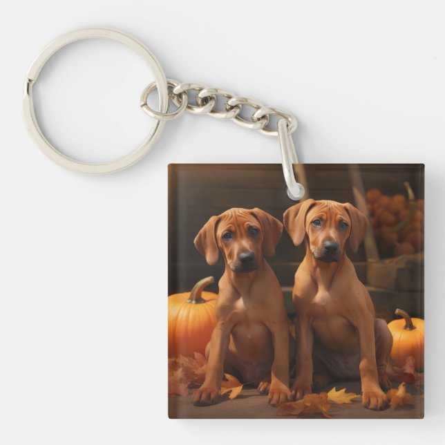 Rhodesian Ridgeback Puppy Autumn Delight Pumpkin  Keychain (Front)