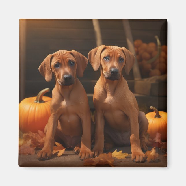 Rhodesian Ridgeback Puppy Autumn Delight Pumpkin  Magnet (Front)