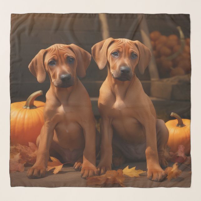 Rhodesian Ridgeback Puppy Autumn Delight Pumpkin  Scarf (Front)