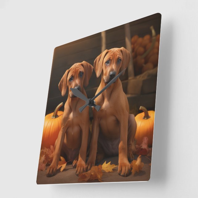 Rhodesian Ridgeback Puppy Autumn Delight Pumpkin  Square Wall Clock (Angle)