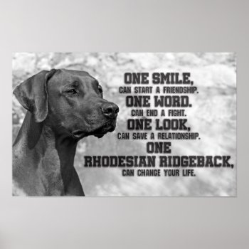 Rhodesian Ridgeback Quotes Poster by Wonderful12345 at Zazzle