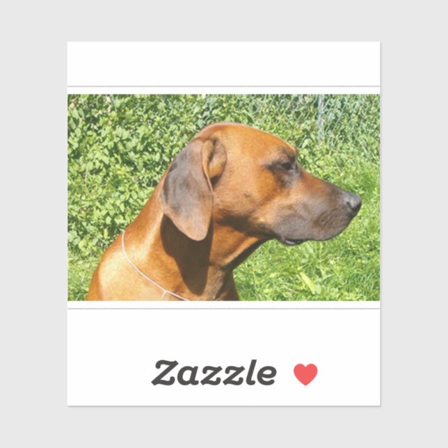 rhodesian ridgeback second sticker (Sheet)