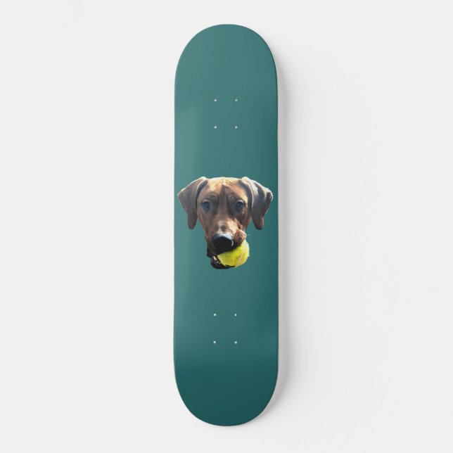 Rhodesian Ridgeback Skateboard (Front)