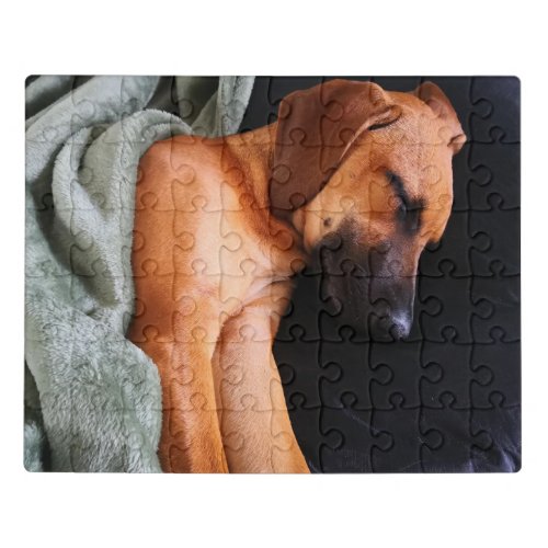 rhodesian_ridgeback_snuggy jigsaw puzzle